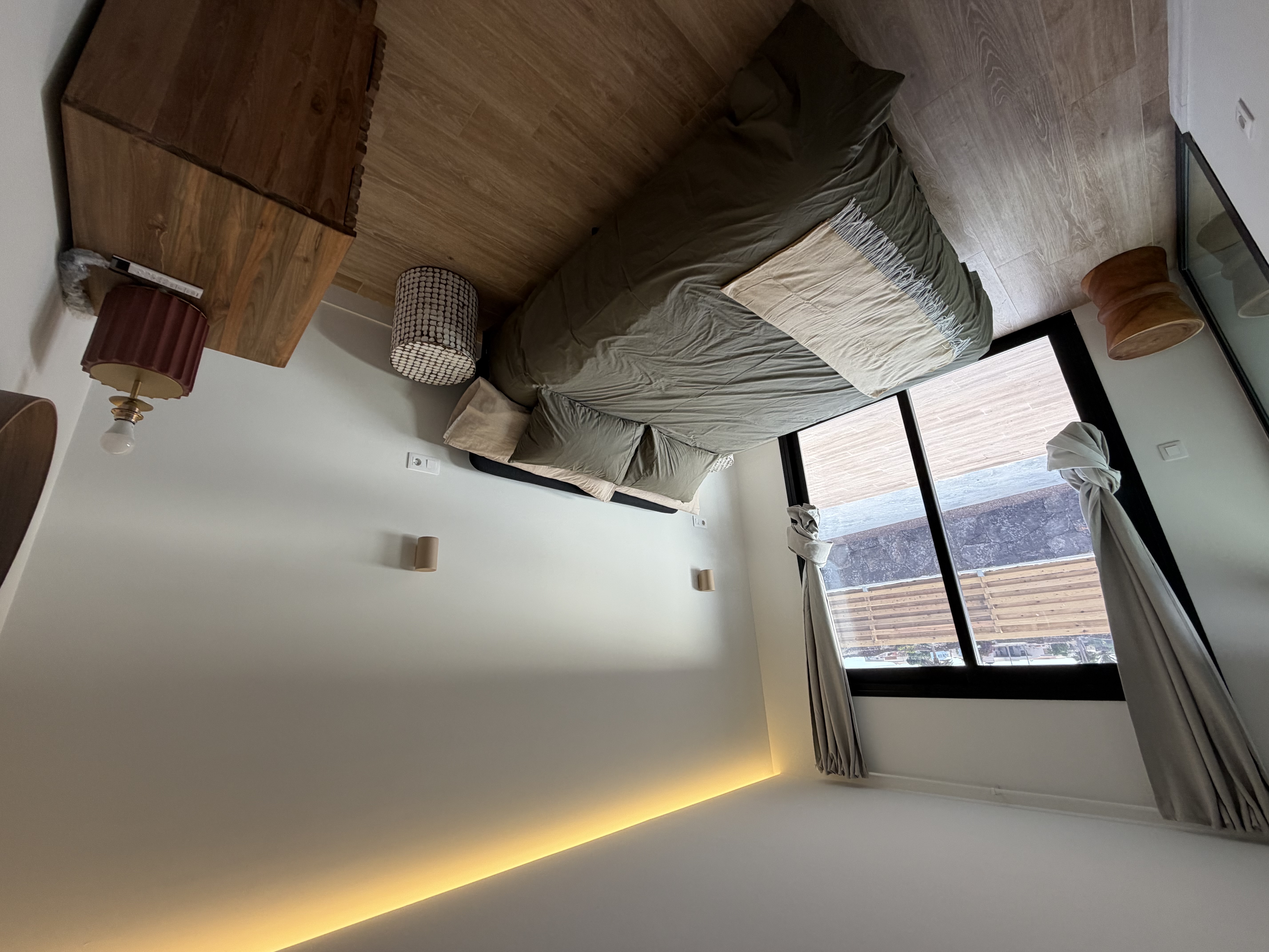 Indoor plant adding greenery to the room